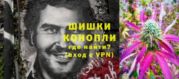 ALPHA PVP Няндома