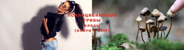 прущая мука Новодвинск