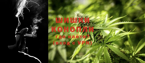 MDMA Новозыбков
