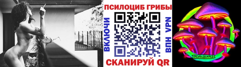Купить  Тотьма  Псилоцибиновые грибы мицелий 