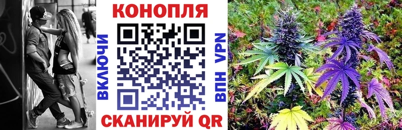 Купить где  Тотьма  Конопля VHQ 